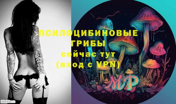 прущая мука Алзамай