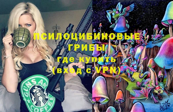 прущая мука Алзамай
