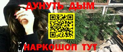 прущие крисы Новокубанск