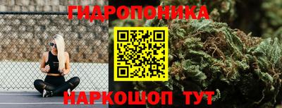бошки Новозыбков