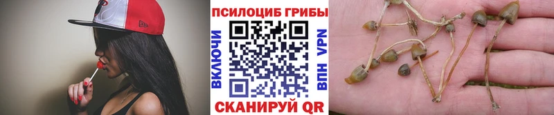 дарк нет официальный сайт  Арсеньев  Галлюциногенные грибы MAGIC MUSHROOMS 