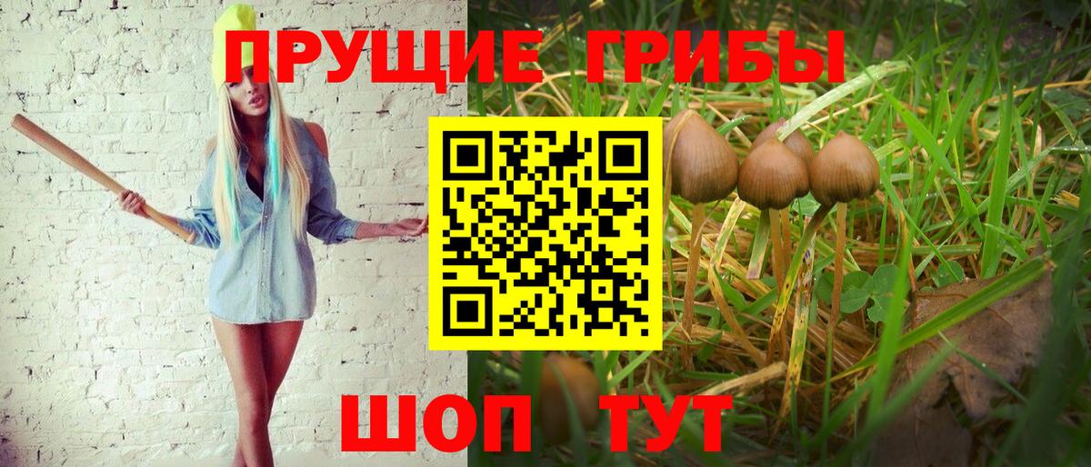 Арсеньев  Галлюциногенные грибы ЛСД  Псилоцибиновые грибы мухоморы  Вход с VPN 